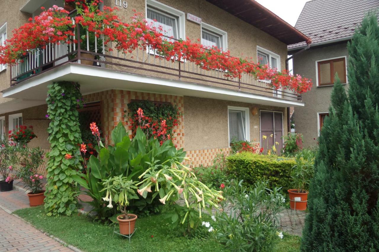 Apartman Pri Zamocku Bešeňová 外观 照片